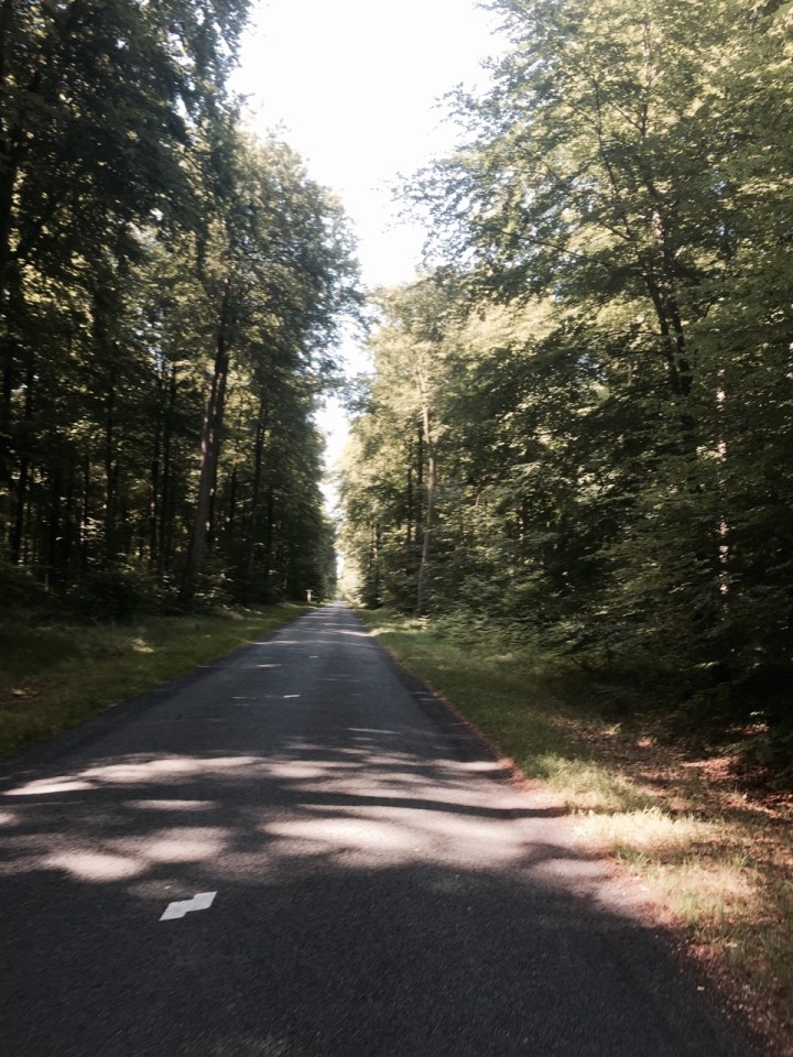 More shaded lanes - Foret de Compiegne