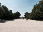 Tuileries Garden 2