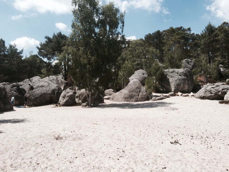 Elephant bouldering area 3