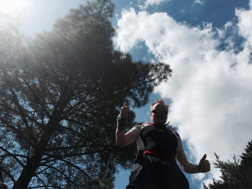 Elephant thumbs up 2