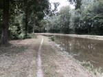 Canal path 2 - getting narrower