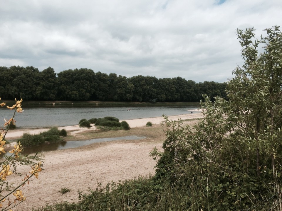 Camping on the banks of the Loire
