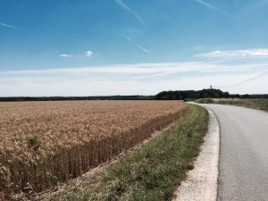 South from Poitiers; lots more Farmland