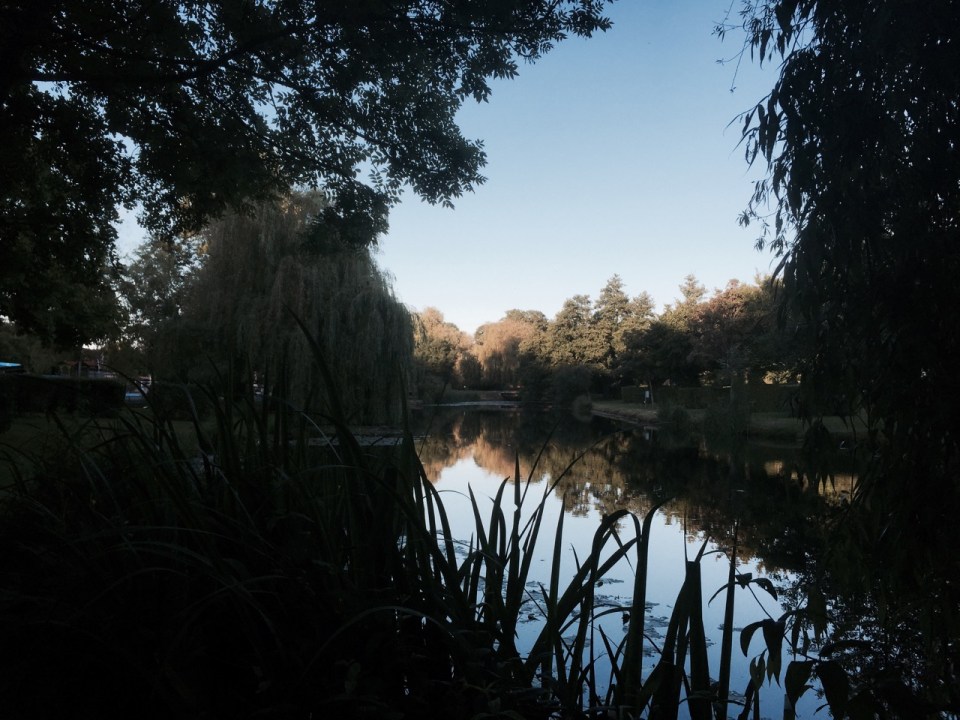 Peupliers - camped next to the river, evening falls