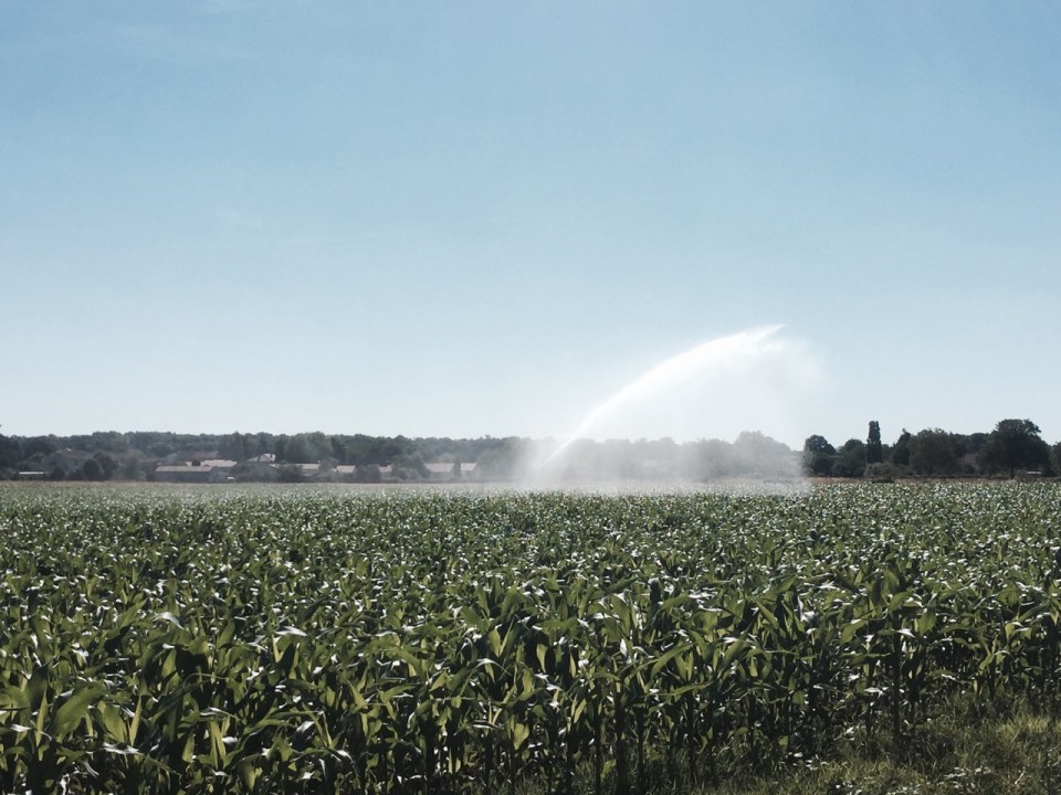 Lots of irrigation going on - water often drawn from rivers