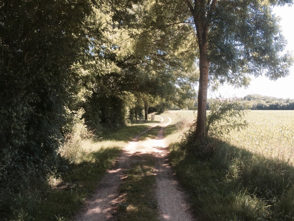 Cycle path alongside Charente