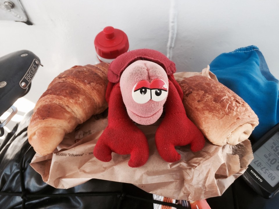 Lobster guarding second breakfast; I'm sure I bought more than one pain-au-chocolat