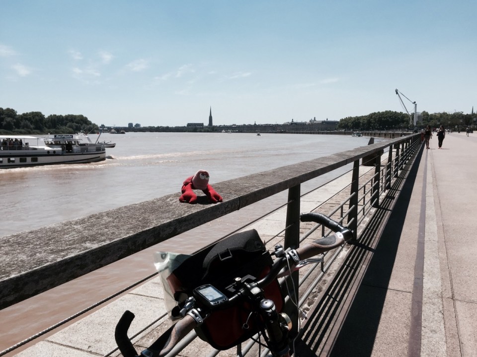 A Lobster in Bordeaux