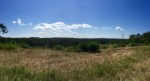 View of the forest from outside Arcachon