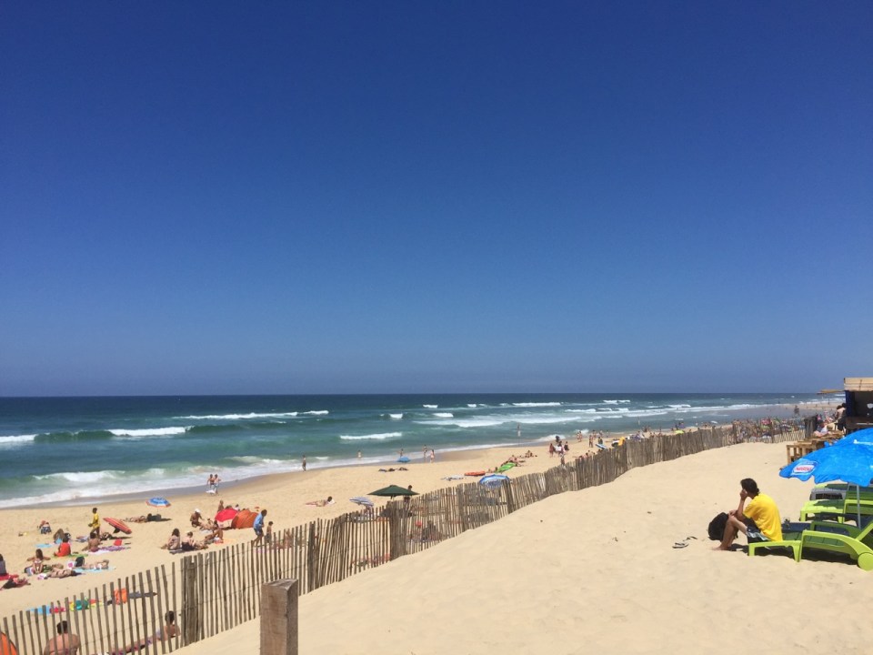 Good waves hitting the beac