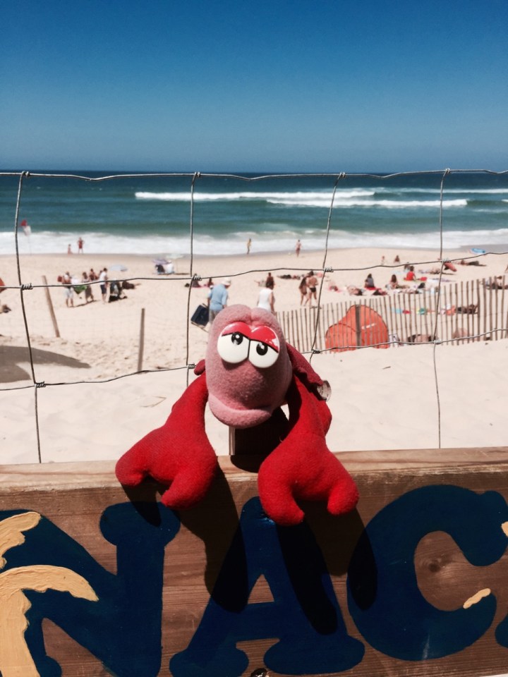 Lobster enjoying the beach