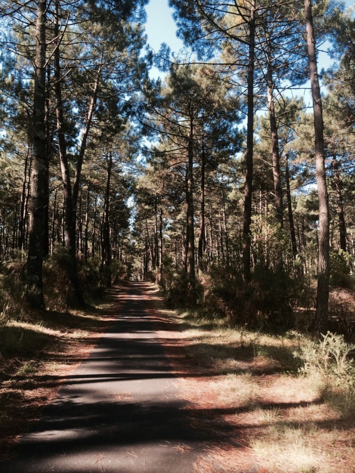 Forest path to Contis-les-Bains
