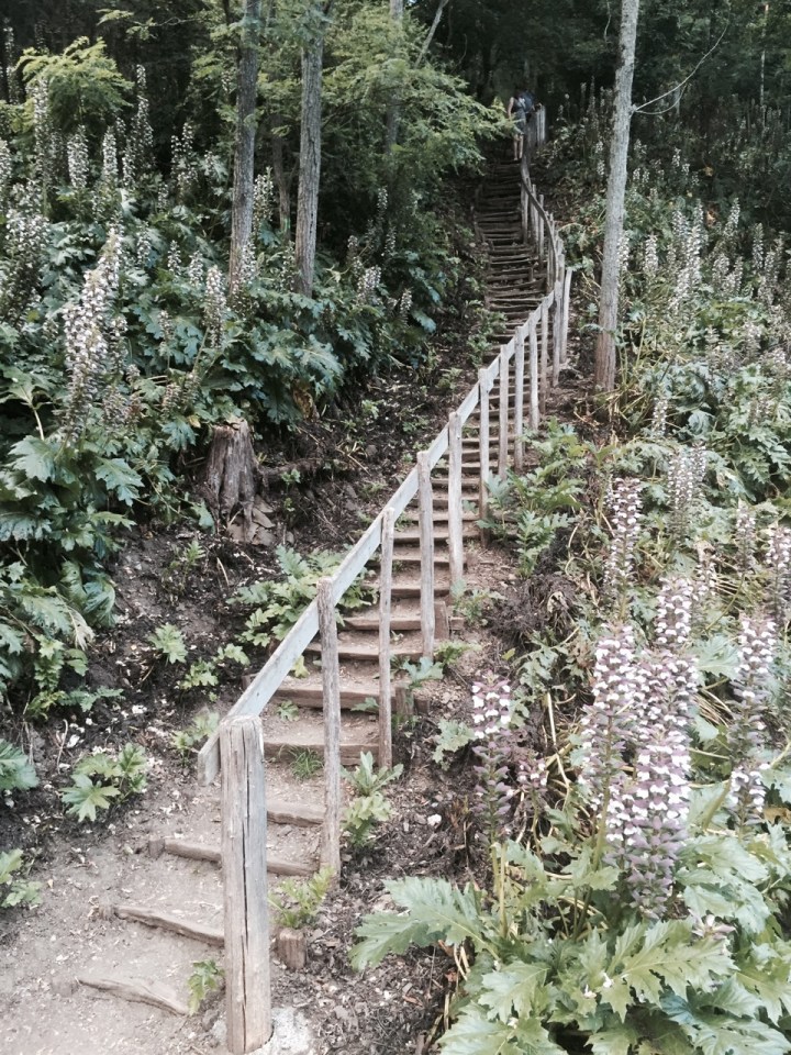 St-Jean-Pied-de-Port - another way up to the citadel