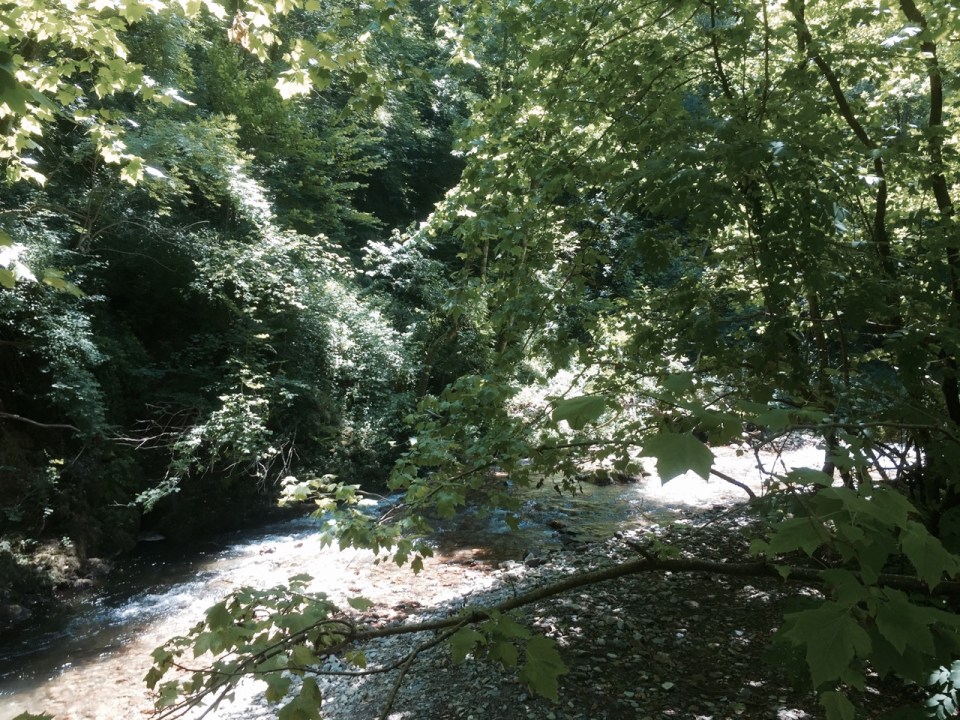 The river we didn't cross the first time around