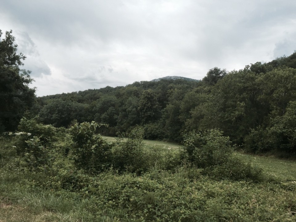 Pedalling through green valley
