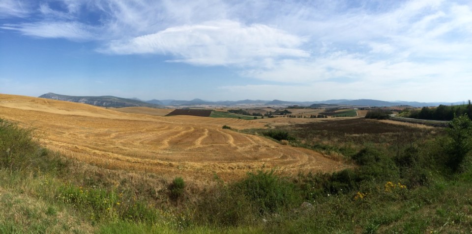 Riding through more corn fields on way to Logrono