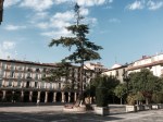 Cathedral Square, Logrono
