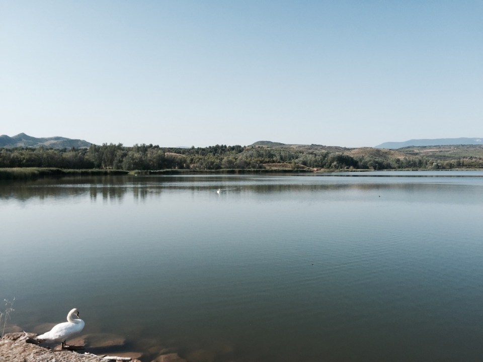 Lake on the way out of Logrono