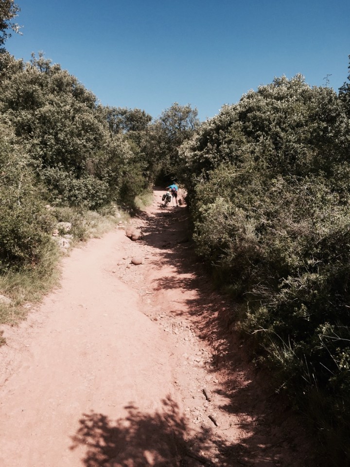 Walker's trail gets a little bumpy near Aleson