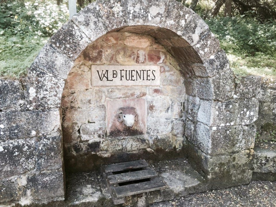 Not sure I'll refill from this particular water fountain