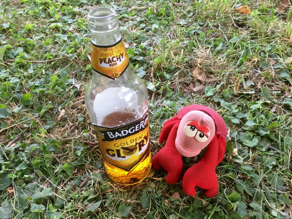 Bottle of badger beer number 2