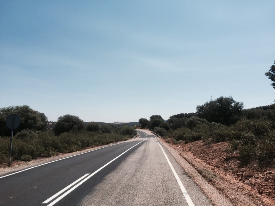 Road wound through lots of Mediterranean Oaks at one point, nice smell
