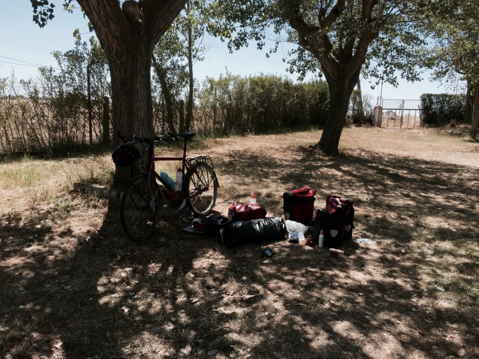 Nice shady spot for a siesta