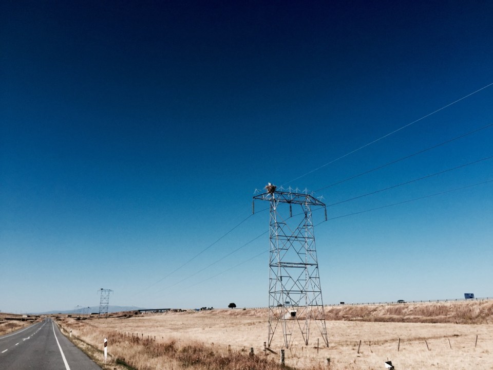 Passed more stork nests, this time on pylons