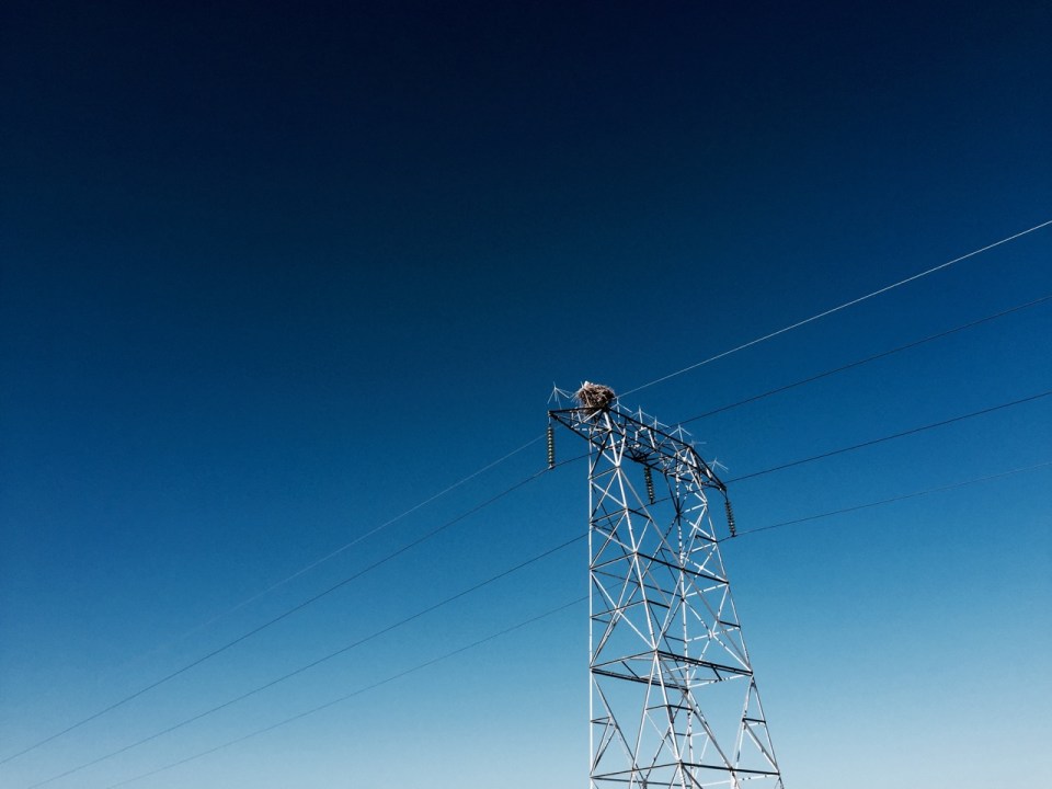 Stork nest on pylon close up
