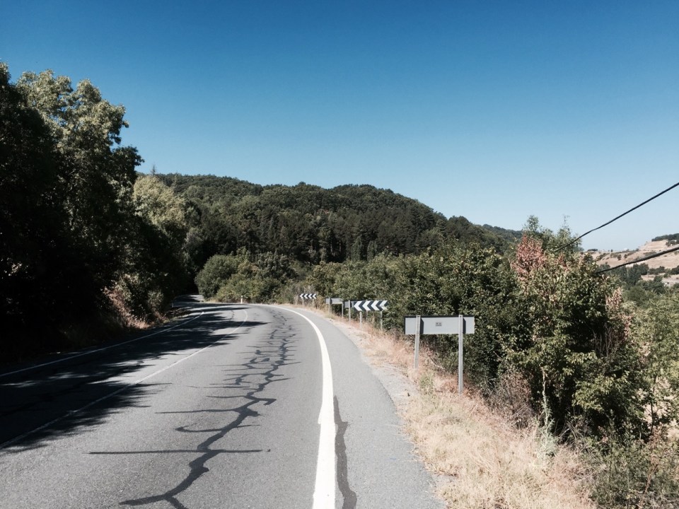 The road down, much more verdant