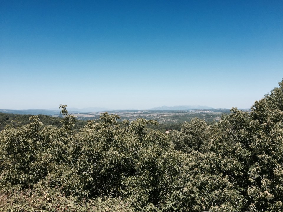 Passed a lot of fruit trees; fig, cherries but no oranges unfortunately