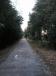 Cycle path next to river, Plasencia