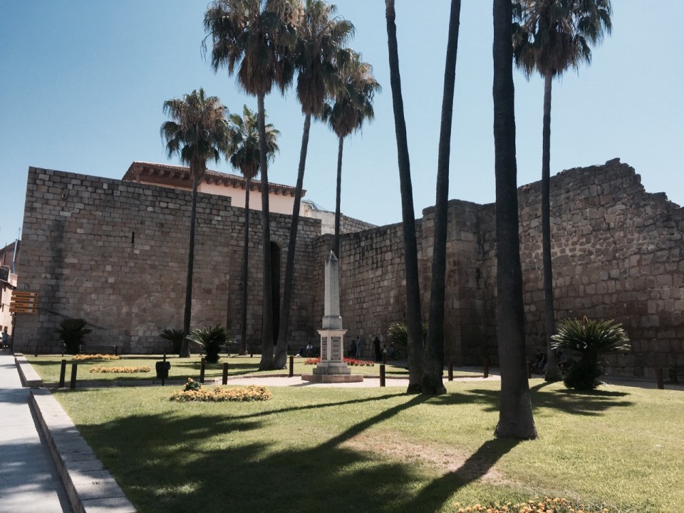 Islamic Fort walls 1