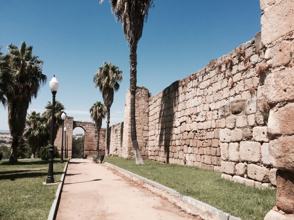 Islamic Fort walls 2