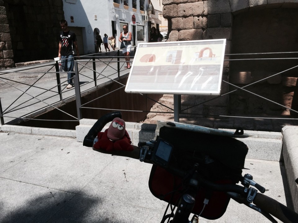 Lobster chilling out at the Arch