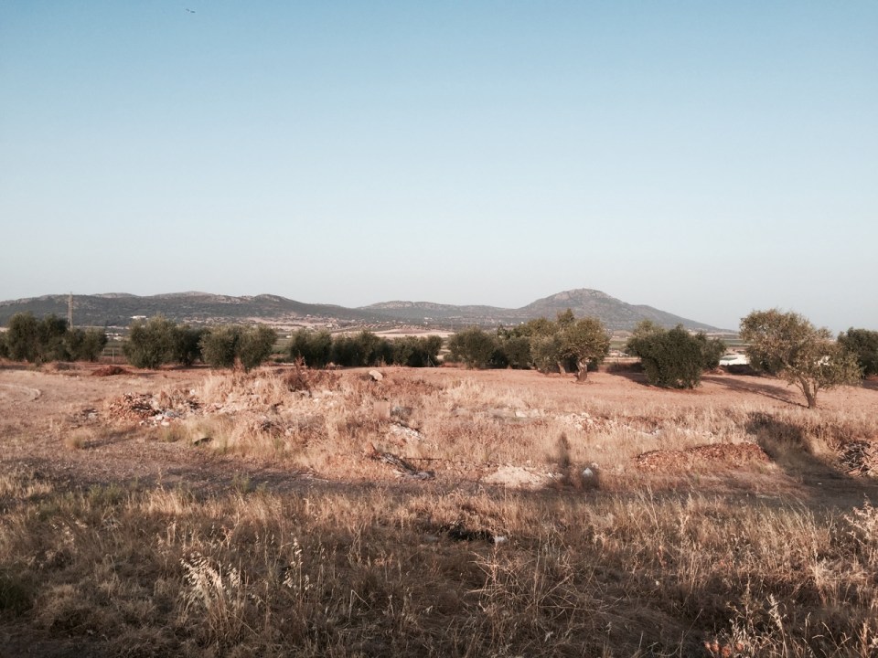The dry landscape of the Ruta de la Plata