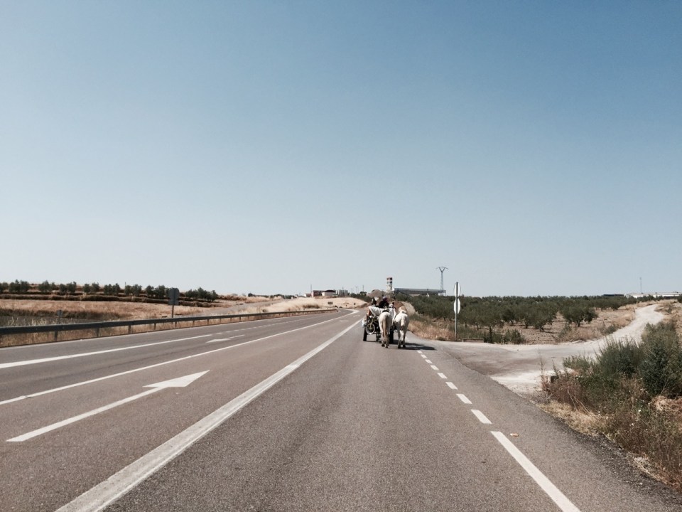 Travellers on the road; family in horse and carts