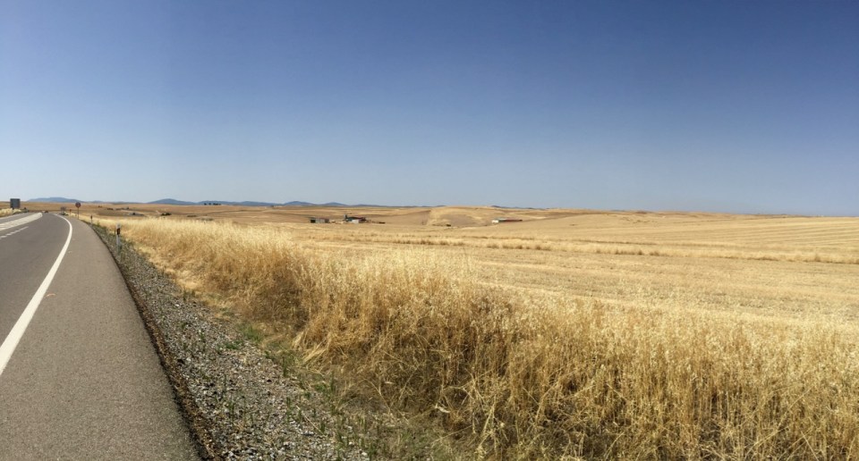 It was all yellow, mostly