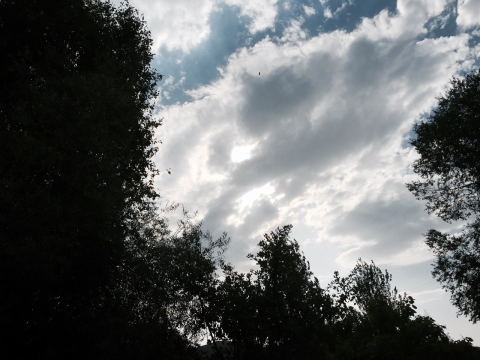 A strange sight in the sky, what are those fluffy white things?