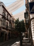 Seville shaded street - genius and very eye-catching