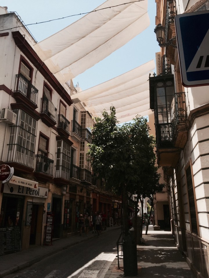 Seville shaded street - genius and very eye-catching
