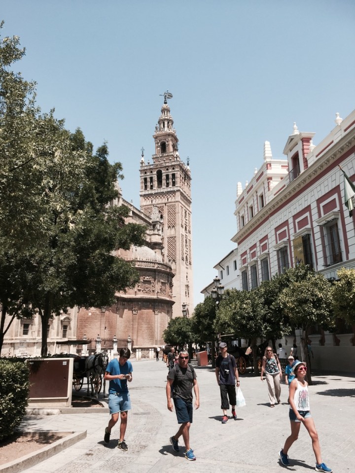 Looking from Alcazar to Cathedral, Seville