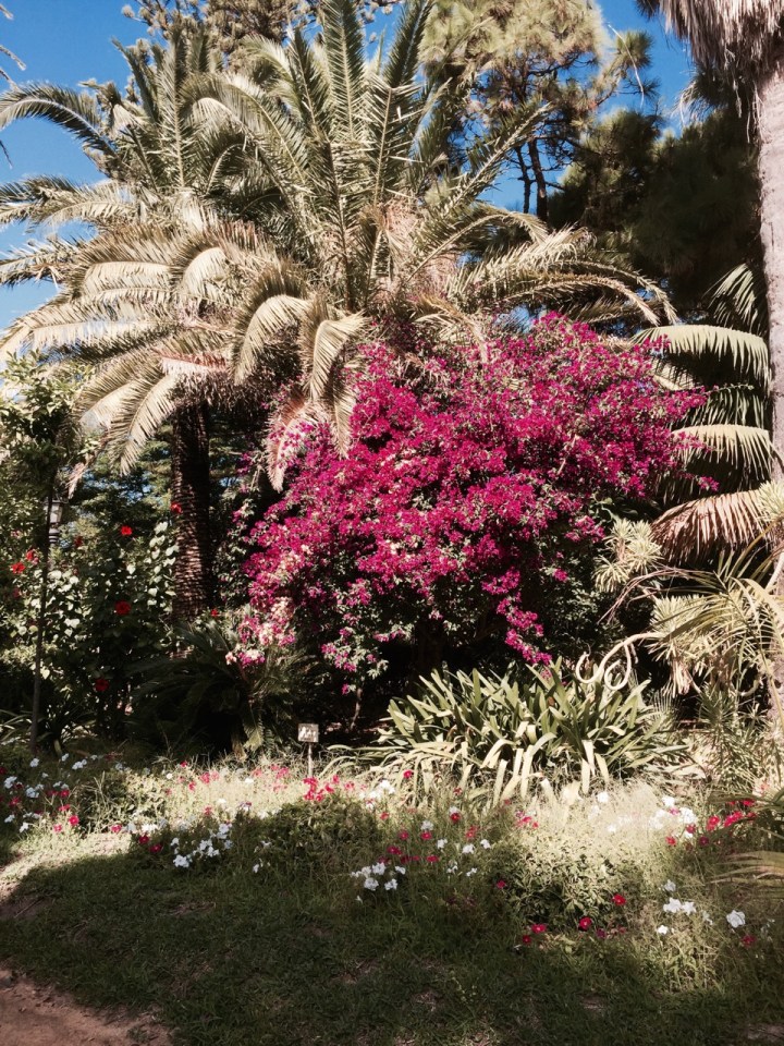 Parque Genovés, Cadiz