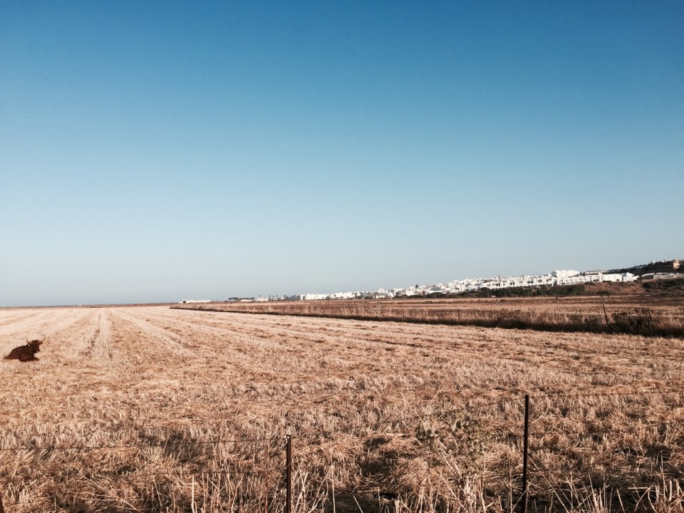 Looking back to Conil de la Frontera