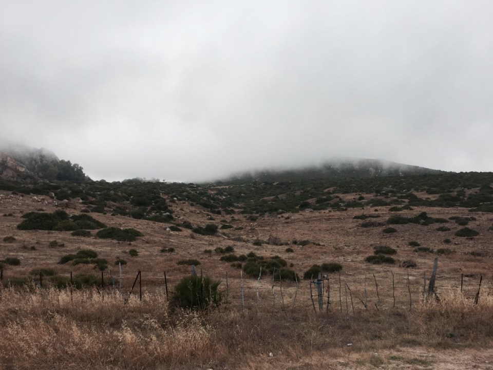 Into the clouds, nice and refreshing