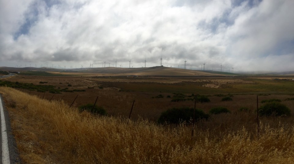Wind farms along the coast must supply a lot of renewable energy