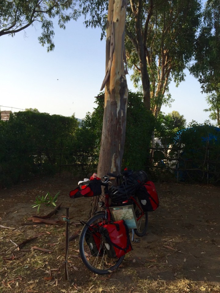 Smaug ready for Stage 2 of tour