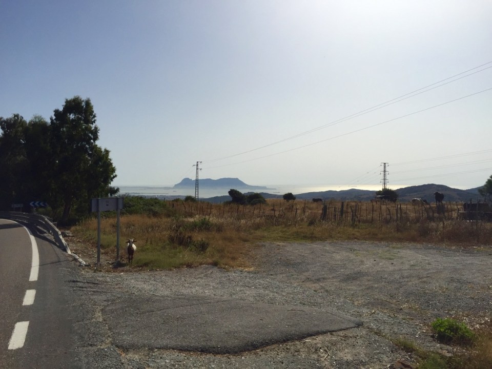First view of Gibraltar, and a goat