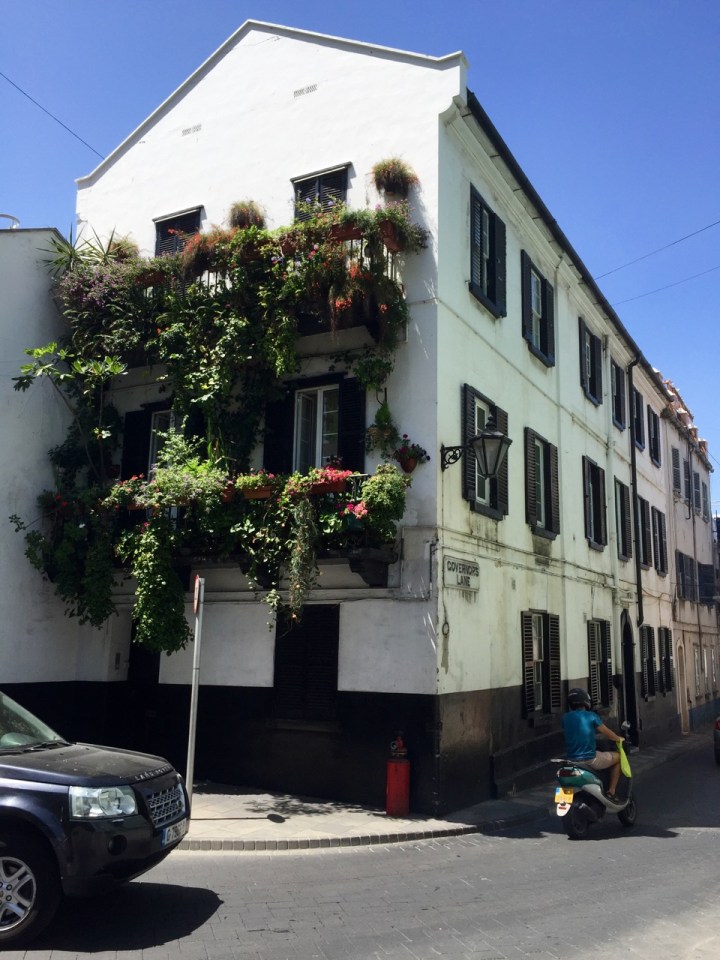 House on Govenor Lane