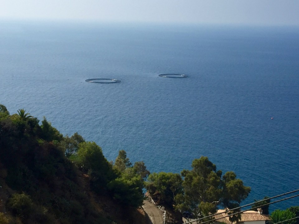 Monte de los Almendros - circles in the sea, assuming fish farms